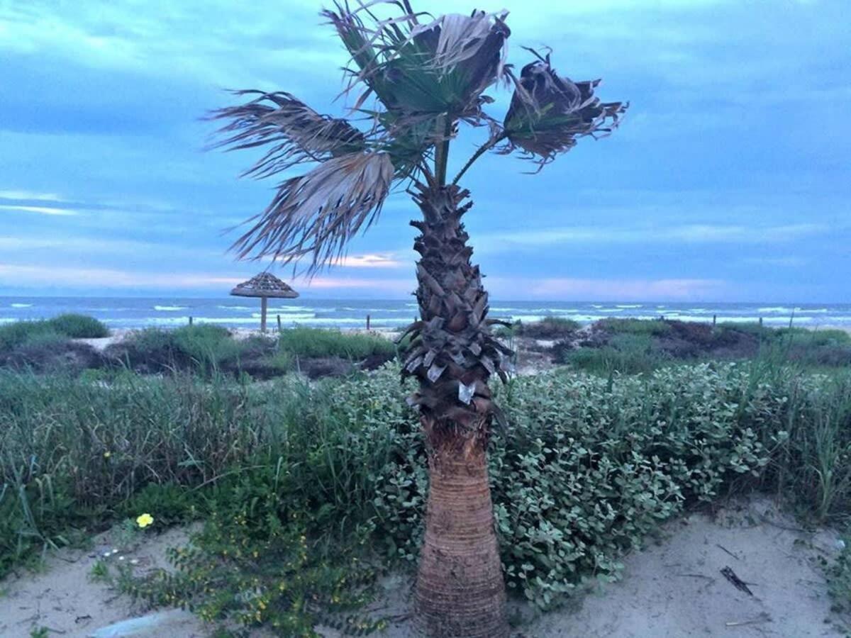 Fun In The Sun! Cozy Beach Pad, Gulf Views And Easy Access To The Sand! Surfside Beach Exteriér fotografie